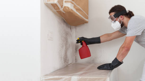 Professional Mold Testing technician working in Beulah, MI