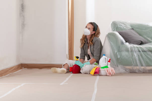 Reliable Mold Testing contractor in Beulah, MI by WQB Mold Removal